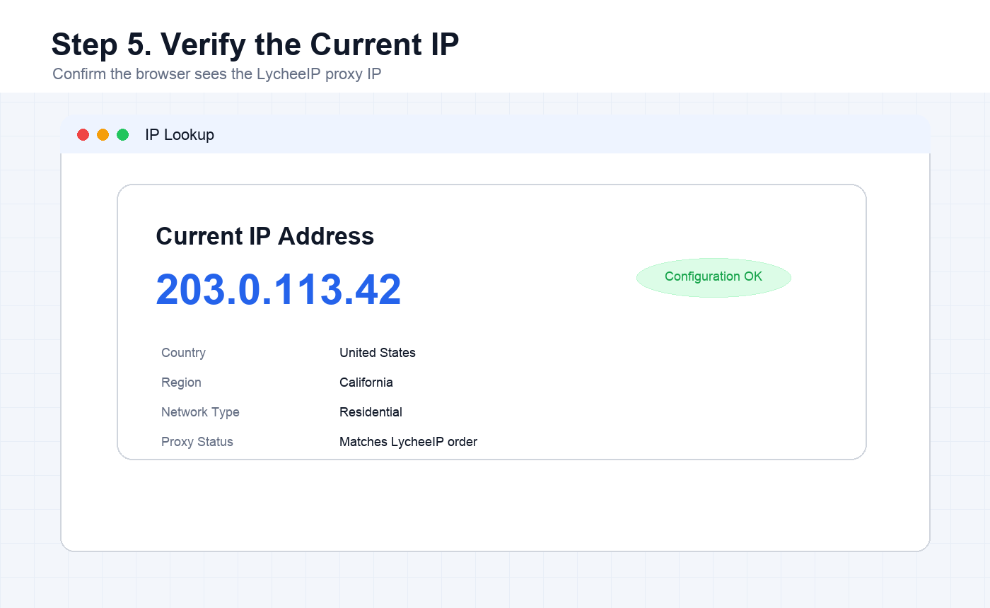 IP lookup result confirming the PC is using the configured LycheeIP proxy IP