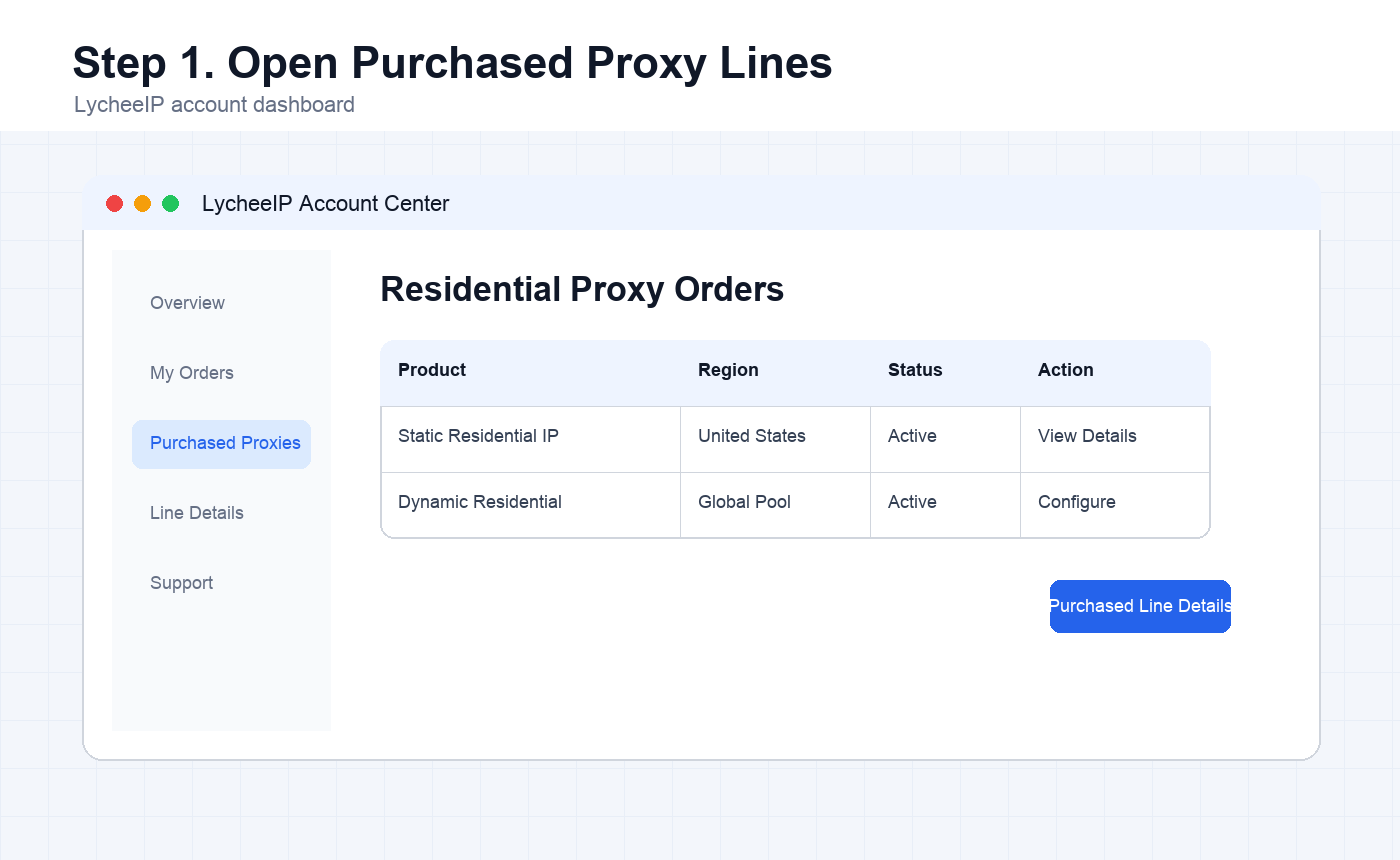 English LycheeIP dashboard showing purchased residential proxy orders and line details entry