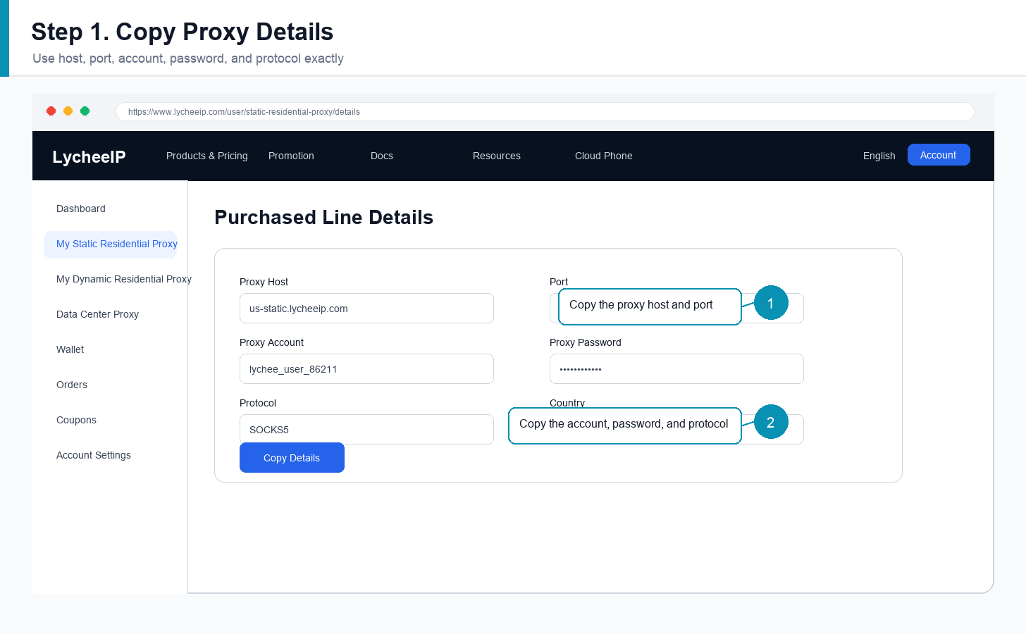 English LycheeIP proxy detail source showing host port account password and protocol