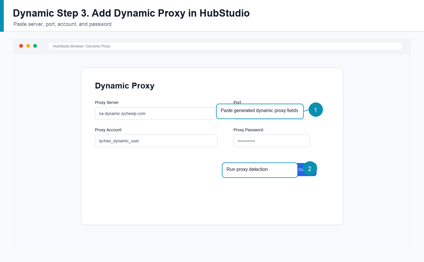 English HubStudio dynamic proxy fields using generated LycheeIP proxy line