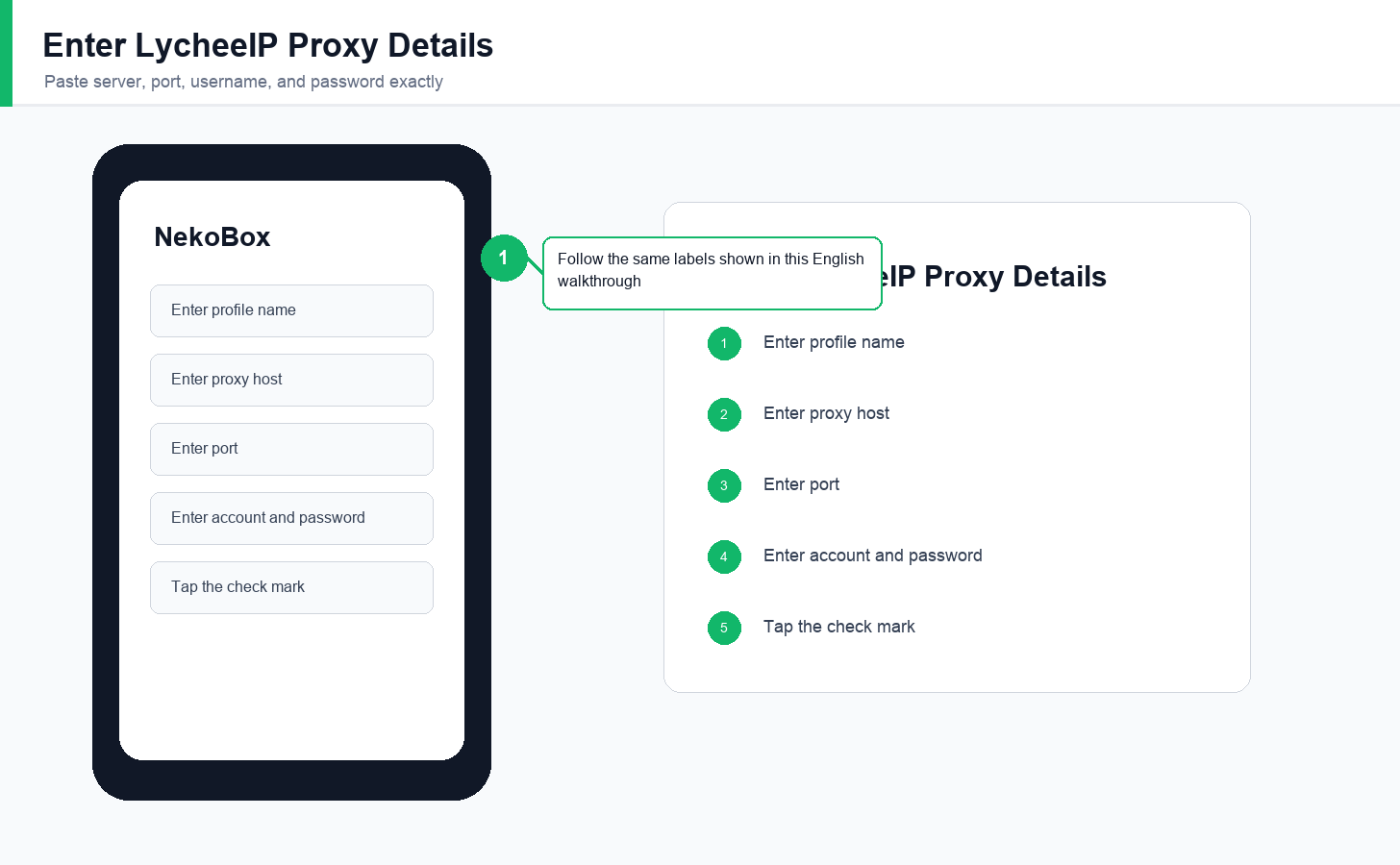English Android NekoBox screen for entering LycheeIP SOCKS proxy details