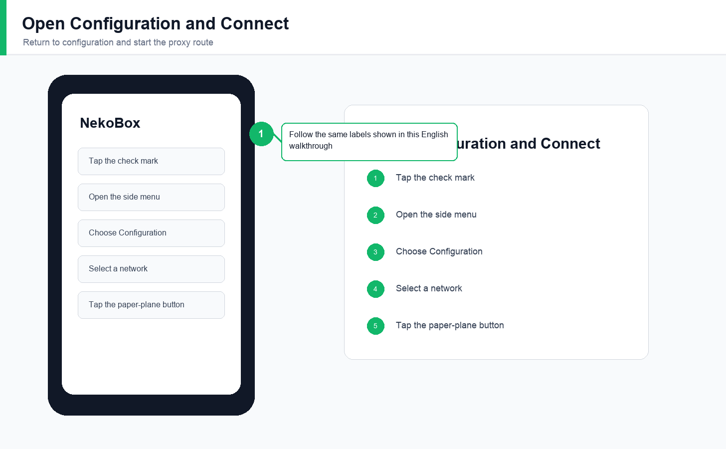 English Android NekoBox configuration and connection screen