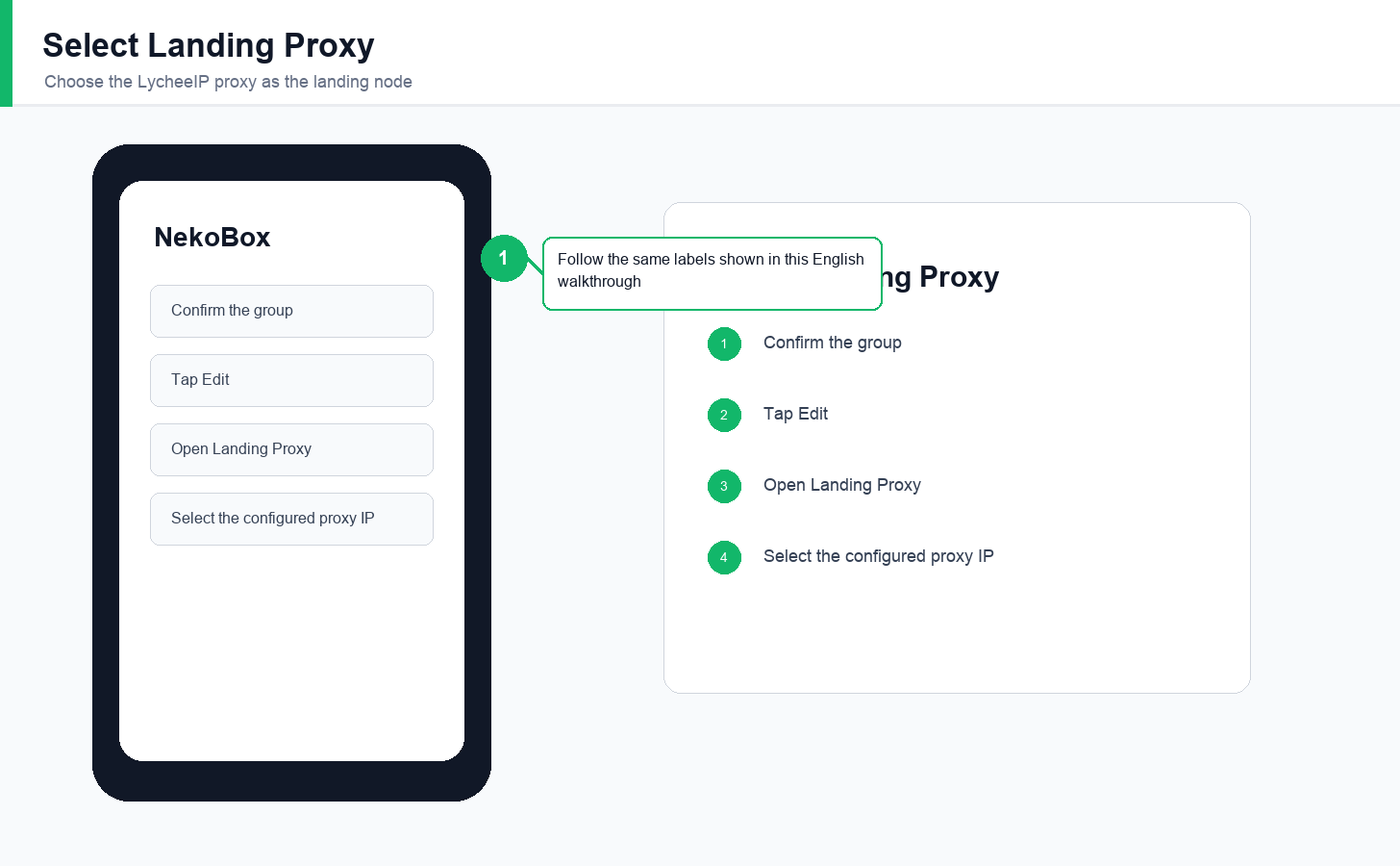 English Android NekoBox landing proxy selection screen
