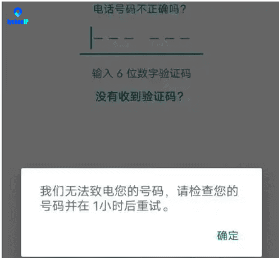 WS8.png